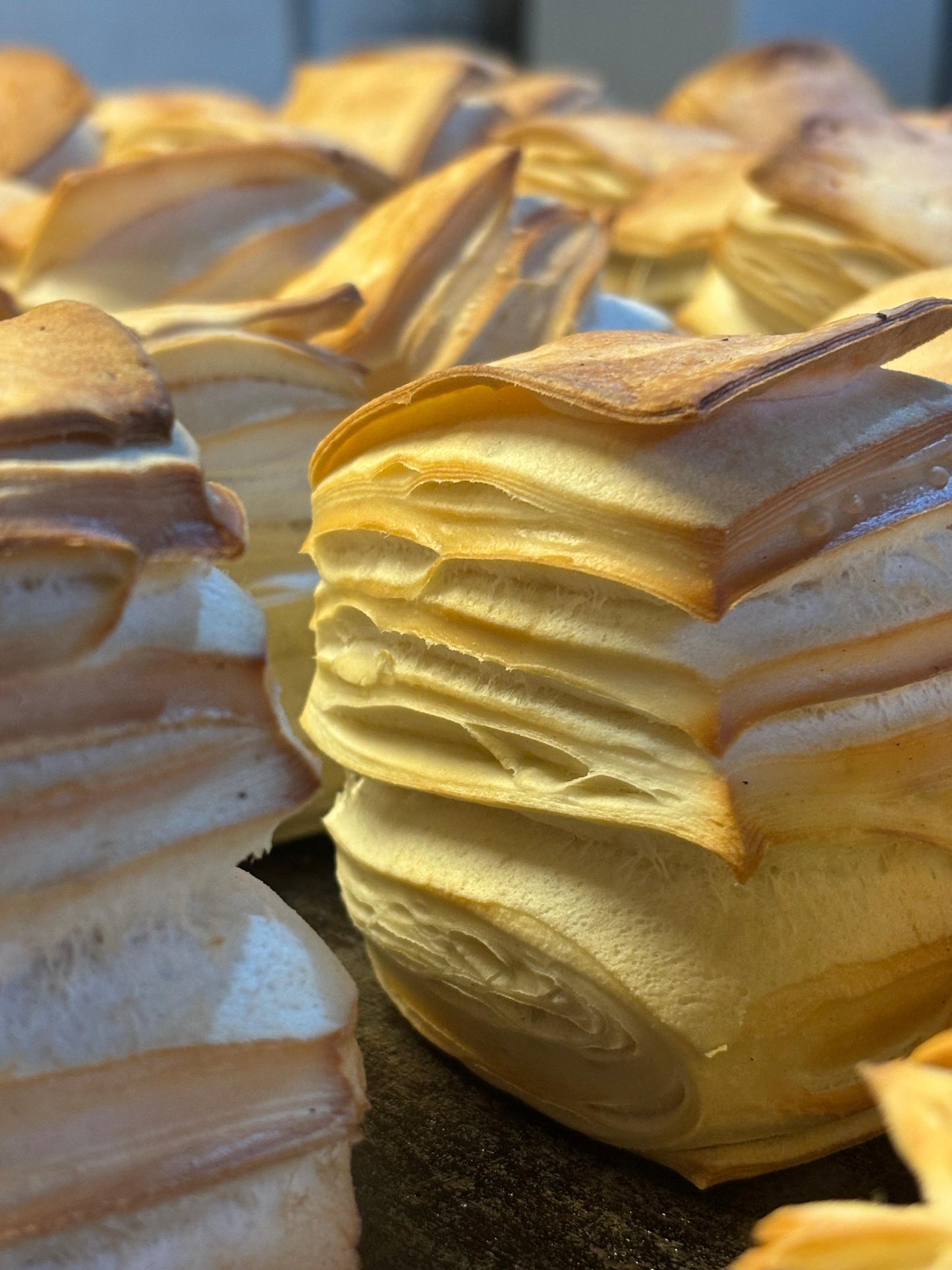 Galleta de campo